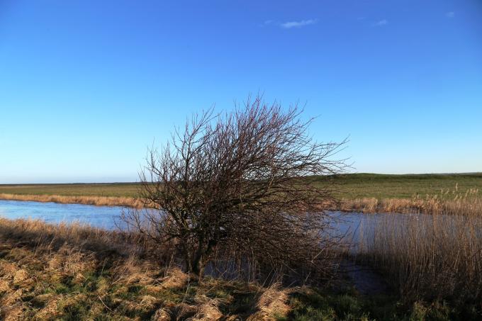 Brede Å ved udløbet i Vadehavet. Brede Å ved udløbet i Vadehavet.