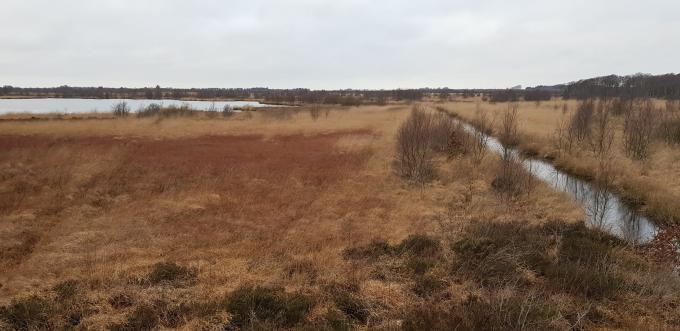 Udsigten over Kongens Mose fra fugletårnet . Foto fra 2019. Udsigten over Kongens Mose fra fugletårnet . Foto fra 2019.