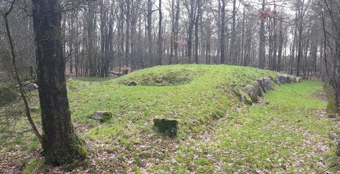 Langdysse i Lindet Skov. Foto fra 2019. Langdysse i Lindet Skov. Foto fra 2019.