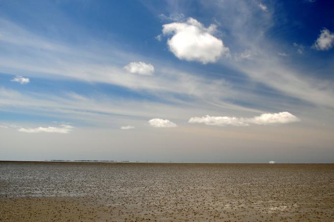Vadehavet Vadehavet