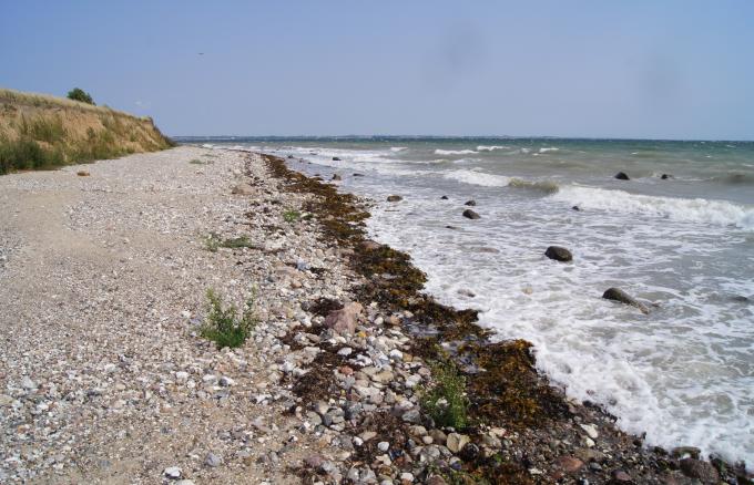 Årø Sydstrand Årø Sydstrand