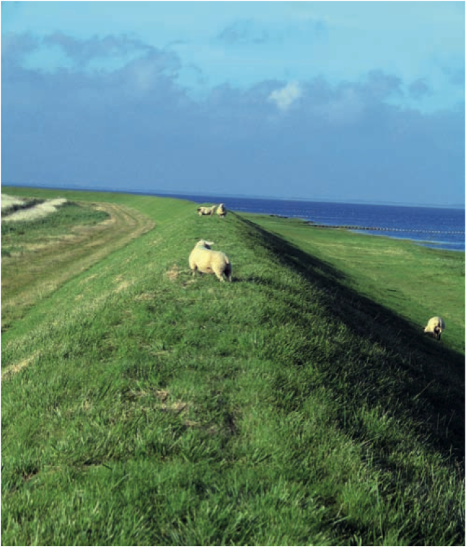 Juvrediget på Rømø, der blev opført 1926-1928. Foto fra 2011. Juvrediget på Rømø, der blev opført 1926-1928. Foto fra 2011.