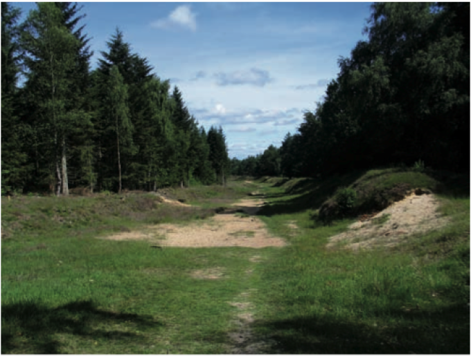 Oksevejen ved Leck i Sydslesvig. Foto fra 2011. Oksevejen ved Leck i Sydslesvig. Foto fra 2011.